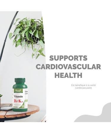 VORST Vitamin K2 D3 High Potency 120MCG/1000 IU 120 Vegan Capsules | MK7 | Essential Supplement for Healthy Bones & Teeth | Powder Pills | Alternative to Drops Gummies & Sprays | 1 Bottle 1 count (Pack of 120) - Buy Online on GoSupps.com