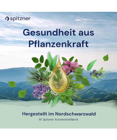 Buy Spitzner Sauna Infusion Set Body & Mind (3 x 190 ml) | Wellness Sauna Oils - Cypress Rosemary Lemon-Honey Citrus-Mint - International Shipping - Buy Online on GoSupps.com