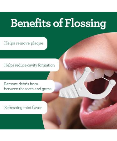 GuruNanda 2 in 1 Dental Floss Picks - Mint - Pack of 4 - 40 Count - Buy Online on GoSupps.com