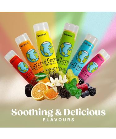 USDA Organic Lip Balm Pack of 6 Flavours - Hydrating Beeswax Chapstick - Fruit & Peppermint - Ideal Easter Gift - Made in USA - Buy Online on GoSupps.com