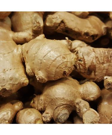 Nature's Answer Ginger with Organic Alcohol 2-Fluid Ounces - Buy Online on GoSupps.com