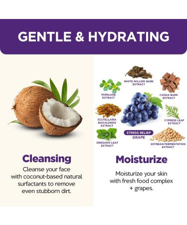 FARMSKIN Freshfood Mild Grape Hydrating Foaming Cleanser | Deep Cleansing & Makeup Remover | Korean Skin Care 175ml - Buy Online on GoSupps.com