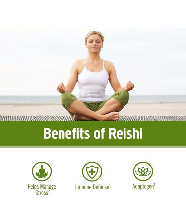 Om Mushroom Superfood Reishi Powder - Organic Adaptogen for Stress & Immune Support, 7.05 oz - 100 Servings - Buy Online on GoSupps.com
