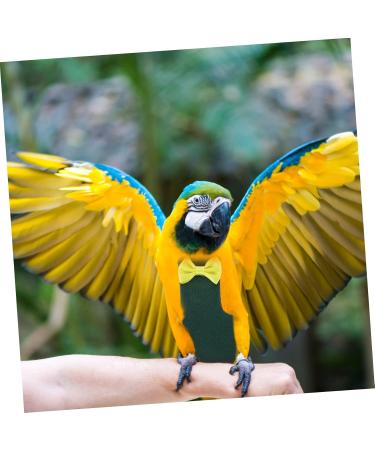 Mipcase 2-in-1 Flying Bird Diapers for Nymphensittich & Parrots | Soft Cotton Flight Suits for Pet Birds - Buy Online on GoSupps.com