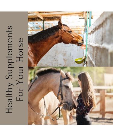 Himalayan Salt Lick With Rope Pack of 2 Blocks About 2-3 Kg Approx. Suitable For Horses Cattle Cow Sheep Pink Lick Stone Natural for Livestock From Punjab Pakistan - Buy Online on GoSupps.com