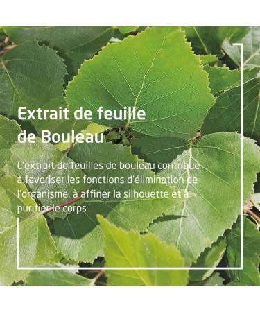 WELEDA - Birch Juice Duo - 2x250 ml - Buy Online on GoSupps.com