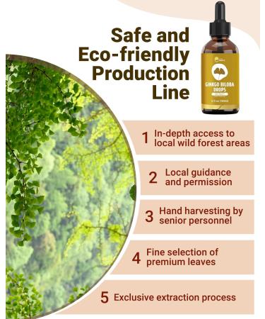 Organic Ginkgo Biloba Extract Liquid Supplements Brain & Focus Support 98% Absorption Vegan Non-GMO Alcohol & Gluten Free - 4 Fl Oz 4 Fl Oz (Pack of 1) - Buy Online on GoSupps.com