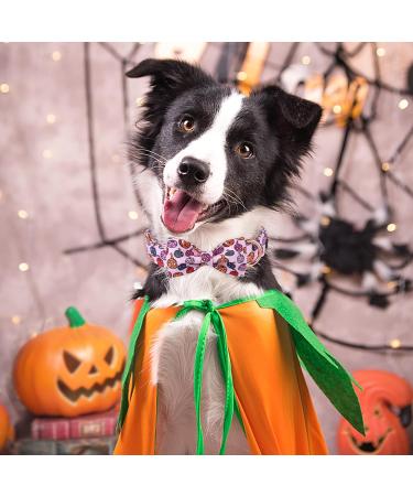Shop Aring Pet Halloween Dog Collar - Cute Pink Pumpkin with Bow for All Dog Sizes (Pack of 1) - Buy Online on GoSupps.com