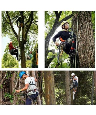 Buy 2Claws Stainless Steel Tree Climbing Crampons - Durable Spikes Set with Straps & Gloves for Safe Tree Work - International Shipping Available - Buy Online on GoSupps.com