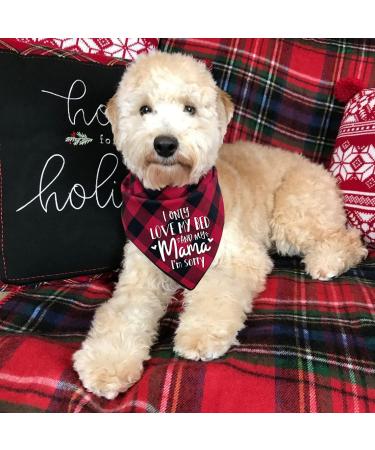 MaySunset Funny Cute Red Plaid Triangle Dog Bandanas Scarf I Only Love My Bed and My Mother I'm Sorry Suitable for Small and Medium Sized Dog Pets Gift - Buy Online on GoSupps.com