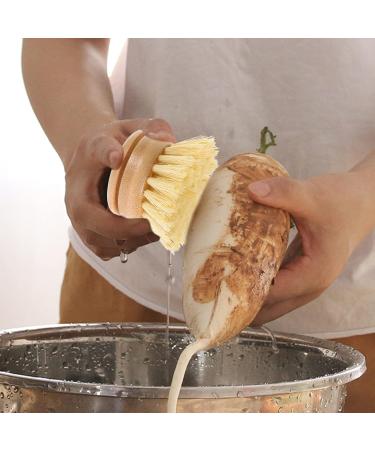 Solustre 2-Pack Sisal Cleaning Spot Brush Head - Wooden Kitchen Scrubber Replacement for Dishware & Pots - Buy Online on GoSupps.com