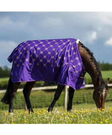 Gallop Equestrian Gallop Trojan Monarch 100g Lightweight Outdoor Horse Turnout Rug Standard Neck (6'6'' Purple) 6'6" Purple - Buy Online on GoSupps.com