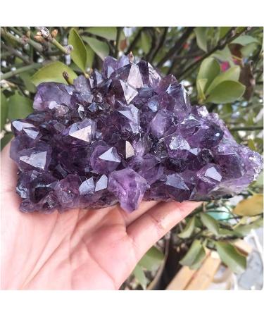 Amethyst Rough Stone 540-560g Natural Dream Amethyst Quartz Crystal Cluster Specimen - Buy Online on GoSupps.com