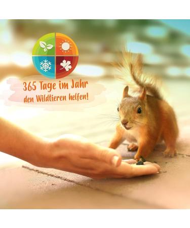 Ida Plus Noble Squirrel Feed 1000g - Nut & Fruit Rich Year-Round Bucket | 100% Natural & Balanced for Squirrels & Stripe Horns - Buy Online on GoSupps.com