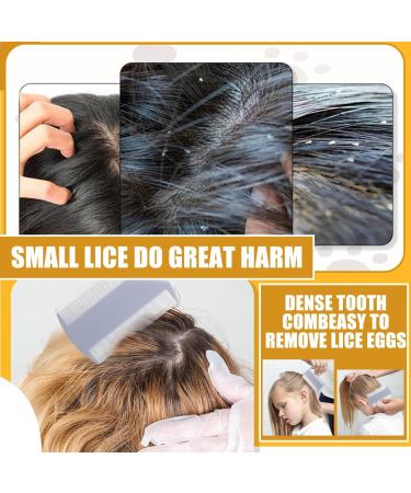 Peigne Poux 2 Peigne Anti Poux Peigne anti poux et lentes pour cheveux d'enfant adultes et famille Livr avec 2 grattoirs peignes anti puces et tiques pour chien chat - Buy Online on GoSupps.com
