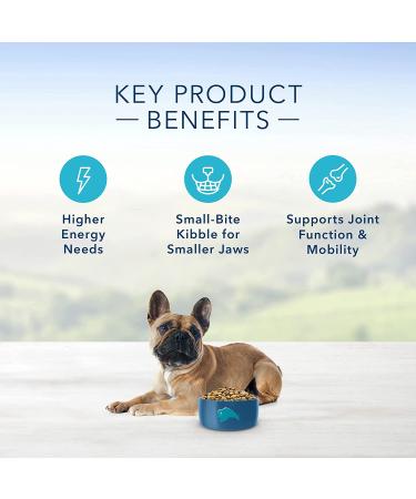 Blue Buffalo Life Protection Formula Small Breed Dry Dog Food - Natural & Nutritious Adult Formula - Buy Online on GoSupps.com