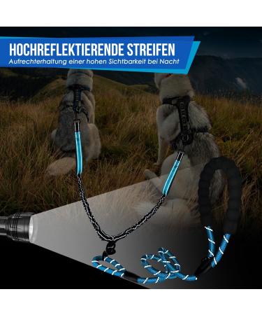 Shop Eyin Double Linen Dog Leash for Large Dogs | Reflective Flexible & Padded Handles | Fits Dogs 11-68kg - Blue - Buy Online on GoSupps.com