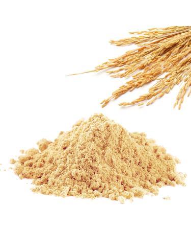 EU Produced Organic Rice Protein - 1000g | Tested Quality, High Protein | Gentle Processing - Buy Online on GoSupps.com