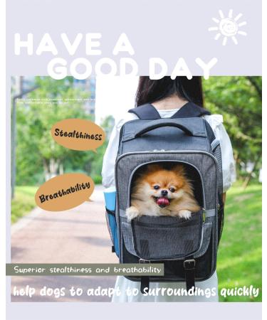 PETEPELA Dog Carrier Backpack for Puppy Cat Carrier and Dog Backpack with Dual Mesh Window Entrance Built-in Hook for Collar Connection Side Pockets for Storage and Adjustable Straps - Buy Online on GoSupps.com