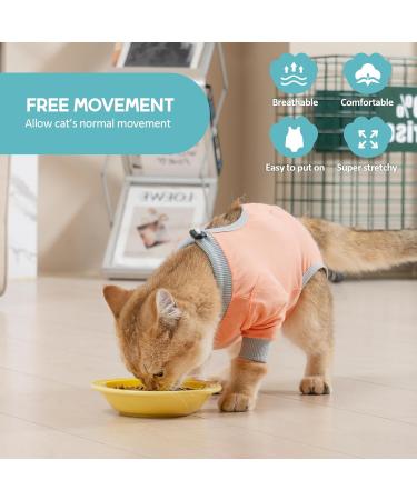 AVONT Cat Recovery Suit - Protective Alternative Surgical Spay Suit for Female Cats Gray Coral L - Ideal for Post-Operative Care & Skin Diseases - Buy Online on GoSupps.com