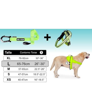 Patented Bike & Dog Leash Set - Perfect for Biking with Your Dog | 3-Ring Dishes & Special Bicycle Bridles - Buy Online on GoSupps.com
