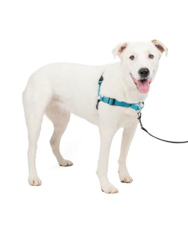 Petsafe Easy Walk Deluxe dishes walking dishes without a train for dogs padded design including 1.8 m leash medium -sized/large ocean blue/black leash m/l - Buy Online on GoSupps.com
