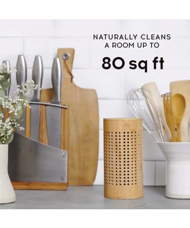 APRAII Charcoal Bag Odor Absorber - Activated Charcoal Bags for Home - Air Purifying & Moisture Absorbing Bamboo Charcoal Purifier - Odor Eliminator & Closet Freshener - Buy Online on GoSupps.com