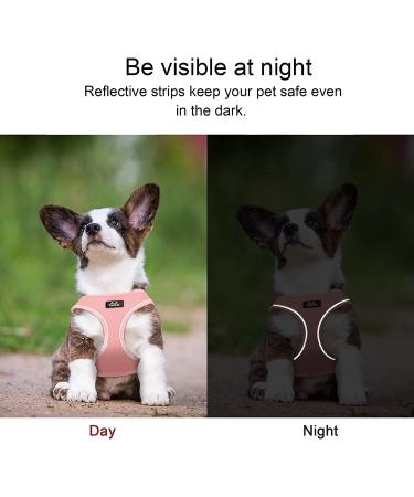 Reflective TwoEar Dog Vest Harness for Small Dogs XXXS - Pink | No-Pull, Breathable Mesh, Easy Control | Ideal for Outdoor Walking and Training - Buy Online on GoSupps.com