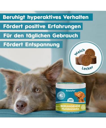 Ameizpet Soft Dog Treats - Calming Chews for Fear Barking & Aggression - 120 Treats for Dogs - Buy Online on GoSupps.com
