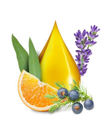 Tetesept Massage Oil Pure Relaxation 100ml - 7 Essential Oils for Stress Relief & Wellness | International Shipping Available - Buy Online on GoSupps.com