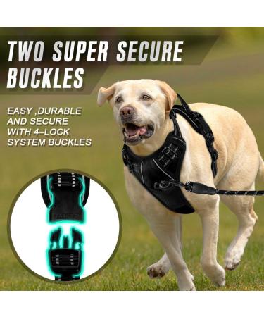 DASH X Large Dog Harness | No Pull Front Clip Vest with Easy Control Handle | Adjustable & Reflective | Breathable & Non-Choke | Black (Neck 42-66cm, Chest 38-89cm) - Buy Online on GoSupps.com