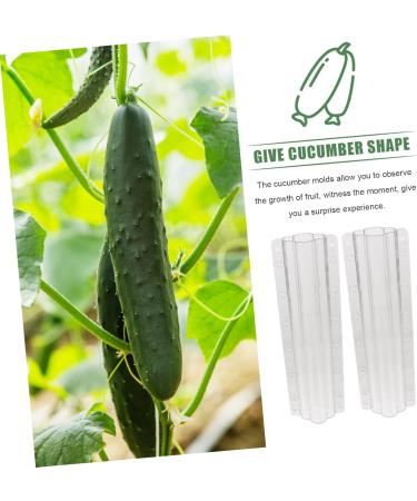 BCOATH 2pcs Vegetable Shaping Fruit Vegetable Forming Mould Kit Watermelon Picking Garden - Buy Online on GoSupps.com