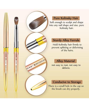 Kolinsky Acrylic Nail Brush Set with Double-Ended Nail Clean Up Brush - Ideal for DIY Nail Art - #8 Gold - Buy Online on GoSupps.com
