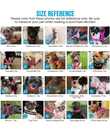 Eyein Reflective Small Dog Harness & Lead Set - Heavy Duty, Anti-Twist, Adjustable Vest Harness for Small Dogs and Cats - Easy Walk, Soft Padded, Quick Fit - Small Pink - Buy Online on GoSupps.com