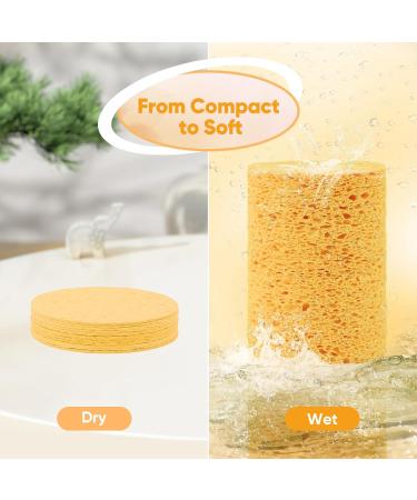 HOMEXCEL 96-Count Compressed Facial Sponges - 100% Natural Cellulose for Daily Cleansing & Exfoliating Reusable Makeup Remover Pads - Ideal for Home & Travel Yellow - Buy Online on GoSupps.com