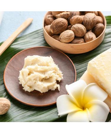 Martina Gebhardt Shea Butter Body Lotion 150 ml - Nourishing Moisturizer for All Skin Types | International Shipping Available - Buy Online on GoSupps.com