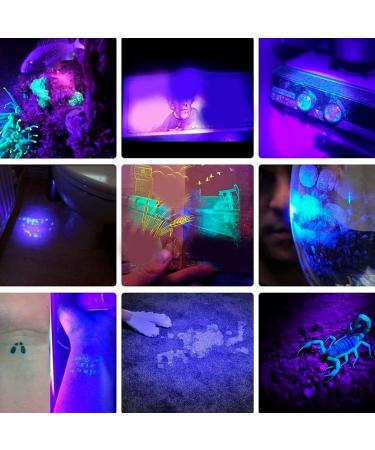 365nm Flashlight Aluminium Alloy USB Type C 60W UV 365nm Light Flashlight Torch for Cat Urine Detection Dry Stains Detection - Buy Online on GoSupps.com
