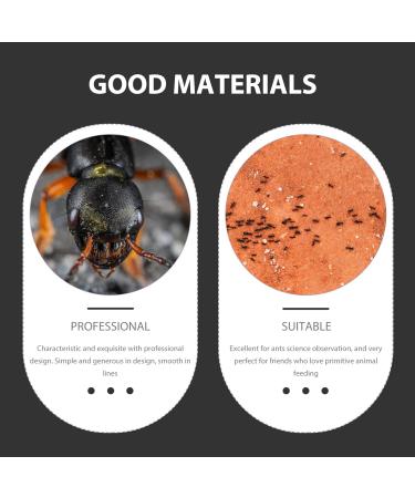 PATKAW Pet Water Feeder Ants Waterer for Garden Ants Feed Bowl Ants Drinking Container Ants Water Feeder Ants Waterer Cup Insect Water Bowl Clear Ants Feeder Mini Drinking Cup Acrylic - Buy Online on GoSupps.com