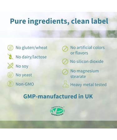 Igennus Gentle Buffered Vitamin C Chewable 500mg for Kids & Adults Optimized Absorption with Dual Forms Sodium Ascorbate & Ascorbic Acid Sugar Free Natural Orange & Lemon Flavors 120 240 Servings - Buy Online on GoSupps.com