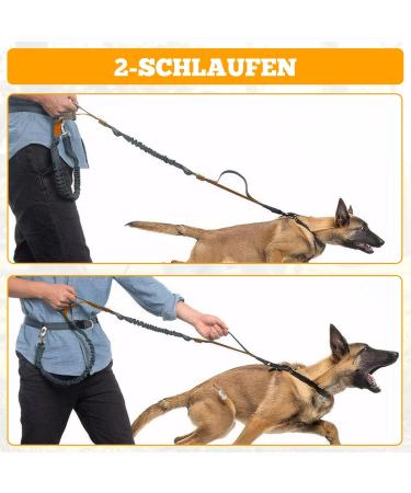 Ultimate Jogging Leash for Large & Medium Dogs | Pile Belt & Double Handle | Retractable Waist Belt - Orange - Buy Online on GoSupps.com