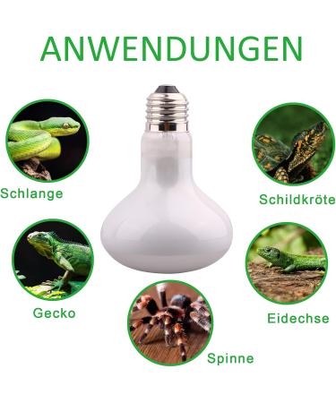 Dernord 150W Basking Thermal Ramp - Reptile Heat Lamp & Turtle Light Bulb (2-pack) for Bearded Dragons Snakes & More - Buy Online on GoSupps.com