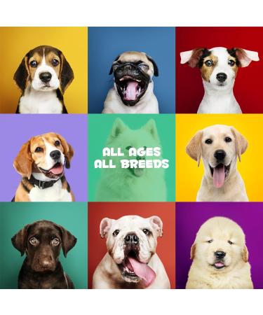 Probiotics for Dogs Pre & Probiotic Digestive Treats for Dogs Support Gut Health Digestive and Immunity Boost Heatlth & Energy for All Ages and Breeds 30 Chews Duck Flavor - Buy Online on GoSupps.com