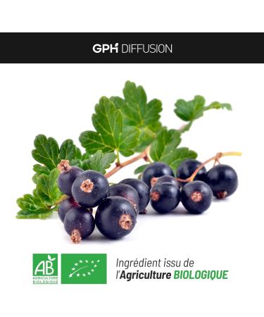 Organic Blackcurrant - 250 mg - 200 vegetable capsules - Buy Online on GoSupps.com