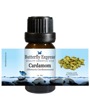 Cardamom Essential Oil 10ml - 100% Pure by Butterfly Express