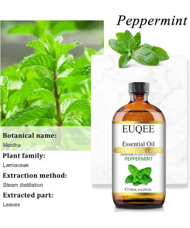 Peppermint essential oil (4 oz/118 ml) Pure Essential Oil - with Glass Dropper Great for Aromatherapy Diffuser Candle Making - Buy Online on GoSupps.com