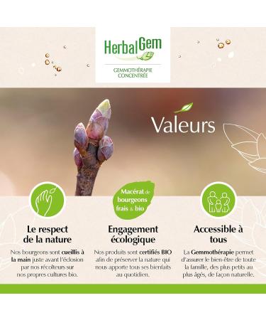 Herbalgemm - Macerate Mother - Organic Heather - Nutritional Supplement Gemmotherapy Concentrated - Fresh Bud Extract - For Urinary Tract - Vegan - 30 ml - Buy Online on GoSupps.com