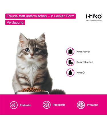 Itiko Digestive Snacks for Cats - Probiotic Treats - Promotes Digestion - Alternative to Clay - Psyllium for Diarrhea - Food Supplement for Cats - Buy Online on GoSupps.com