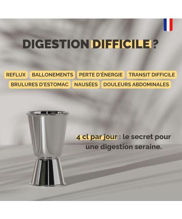 SHOGGA | Organic ginger concentrate (2x700 ml) | Made in France | Premium drink without alcohol | 12 superfoods: fresh cold pressed ginger lemon turmeric kampot pepper herbs and spices. - Buy Online on GoSupps.com