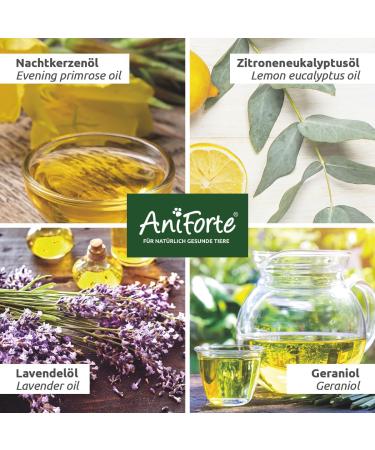 Aniforte Grass Mite Ex Spray 250ml - Effective Dog Spray for Grass Mites & Parasites | Soothes Skin & Relieves Itching - International Shipping Available - Buy Online on GoSupps.com