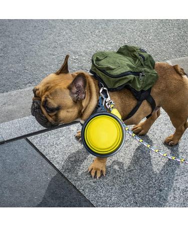 Kiuiom Silicone Travel Dog Bowls - Foldable Leak-Proof Portable 350ml Feeding Set with Lid & Carabiner (2pcs) - Ideal for Travel & Outdoor Adventures - Buy Online on GoSupps.com